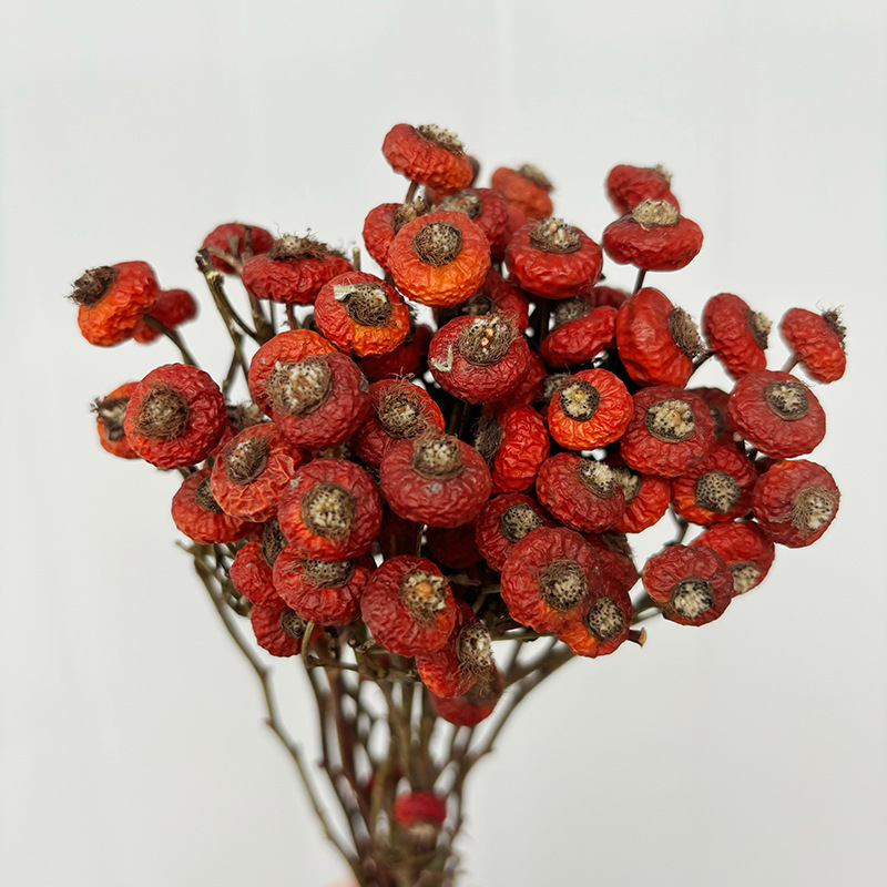 Dried Flower Bulk - 10 Unidades/Conjunto de Flores Secas de