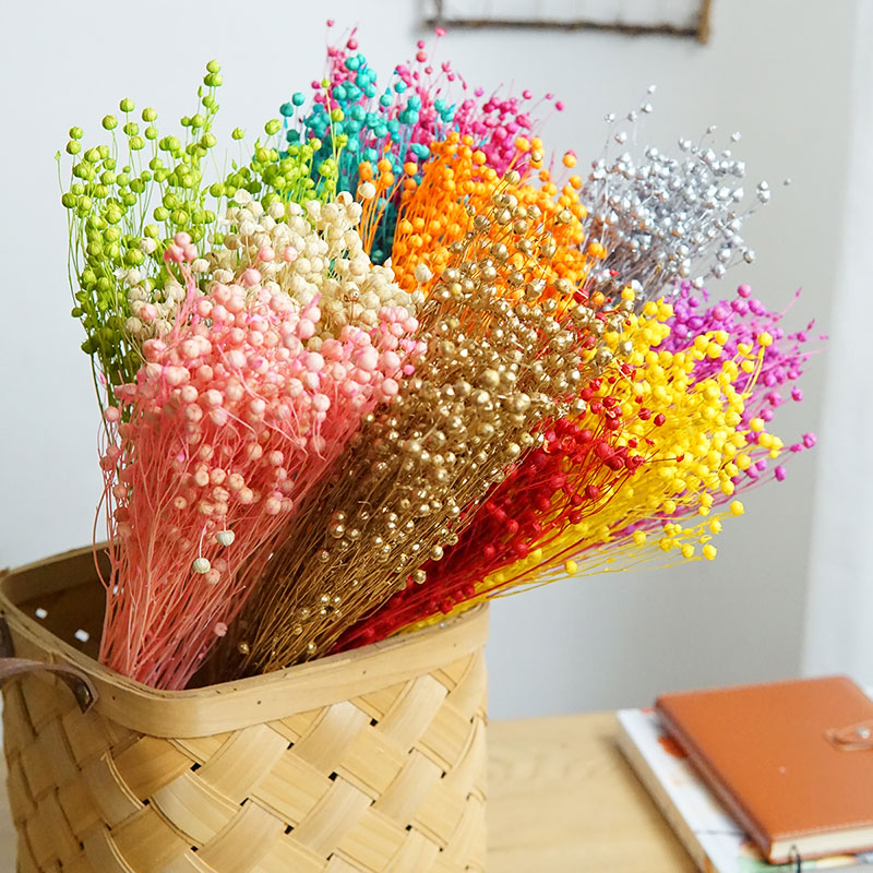 Dried Flower Bulk - 35g/preservado ormosia hosiei flores reais naturais