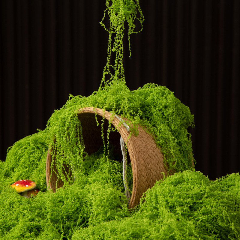 Terrarium Moss Art - Musgo da Vida Eterna 200g para