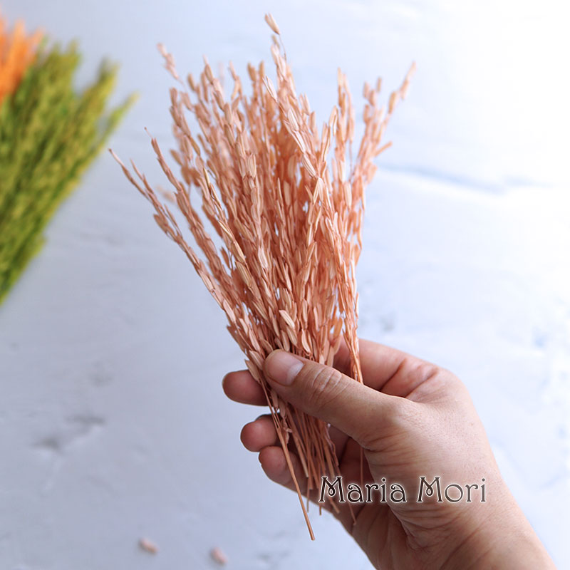 Dried Flower Bulk - 5g/banco tingido flores naturais secas branqueadas