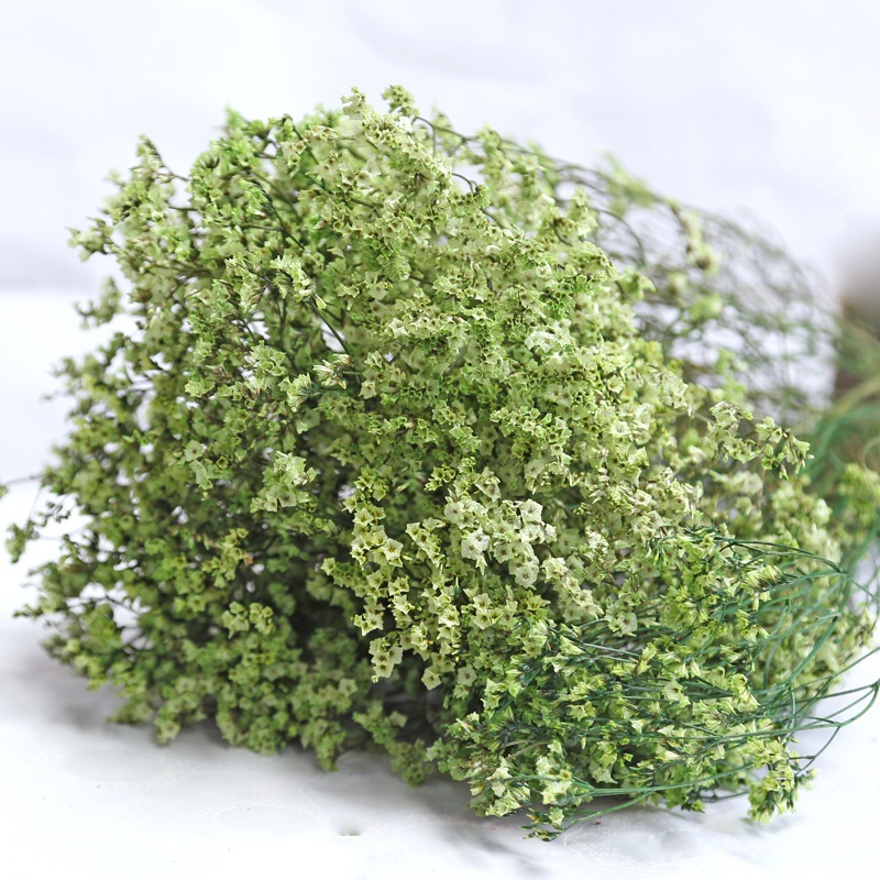 Dried Flower Bulk - Natural fresco seco preservado flores grama