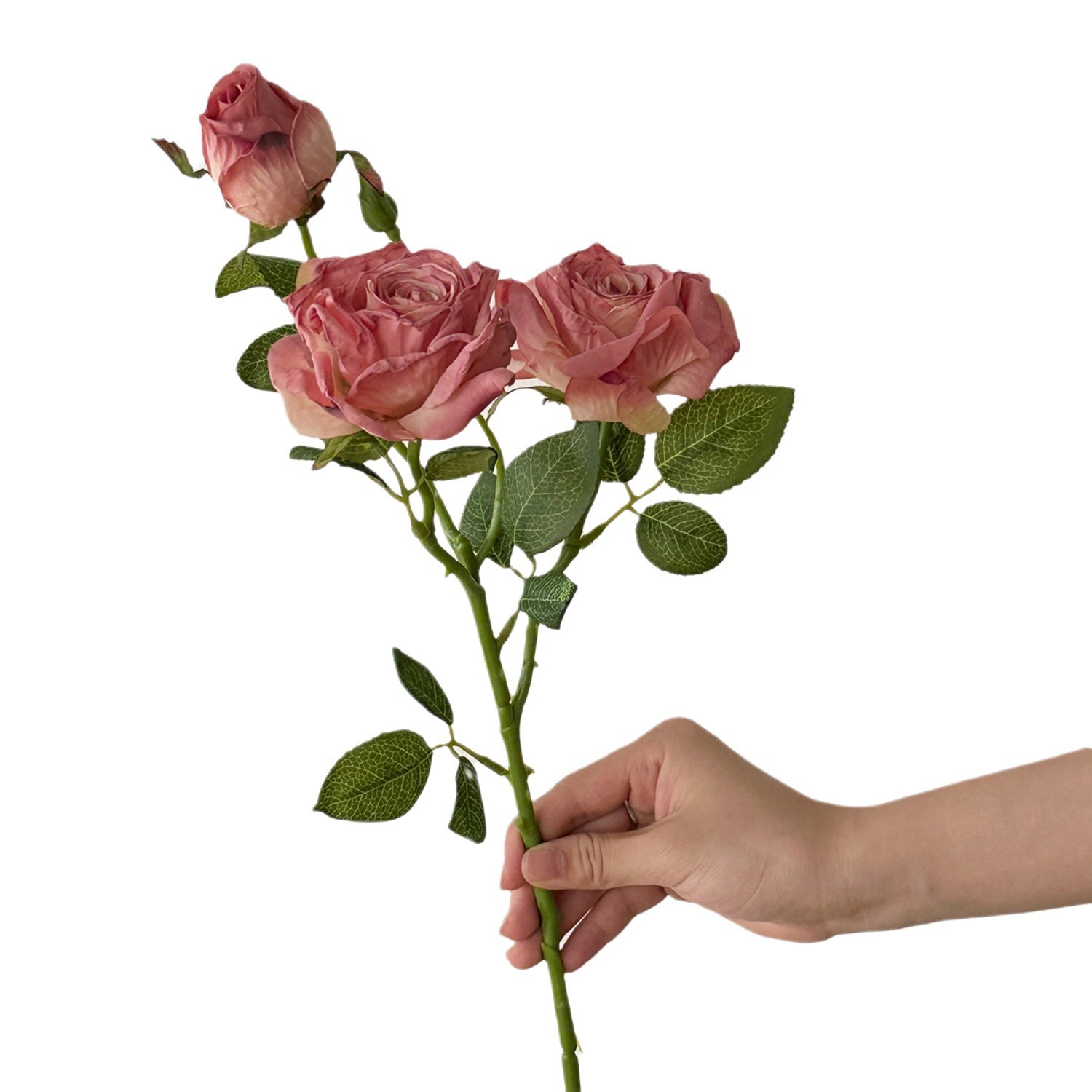 Flor Artificial Decorativa Ret - Dried Flower Bulk avaliação e preço