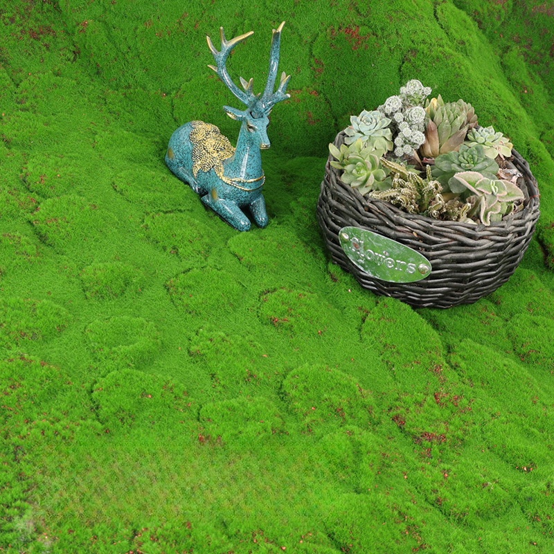 Turf artificial musgo simulaçã - Terrarium Moss Art avaliação e preço