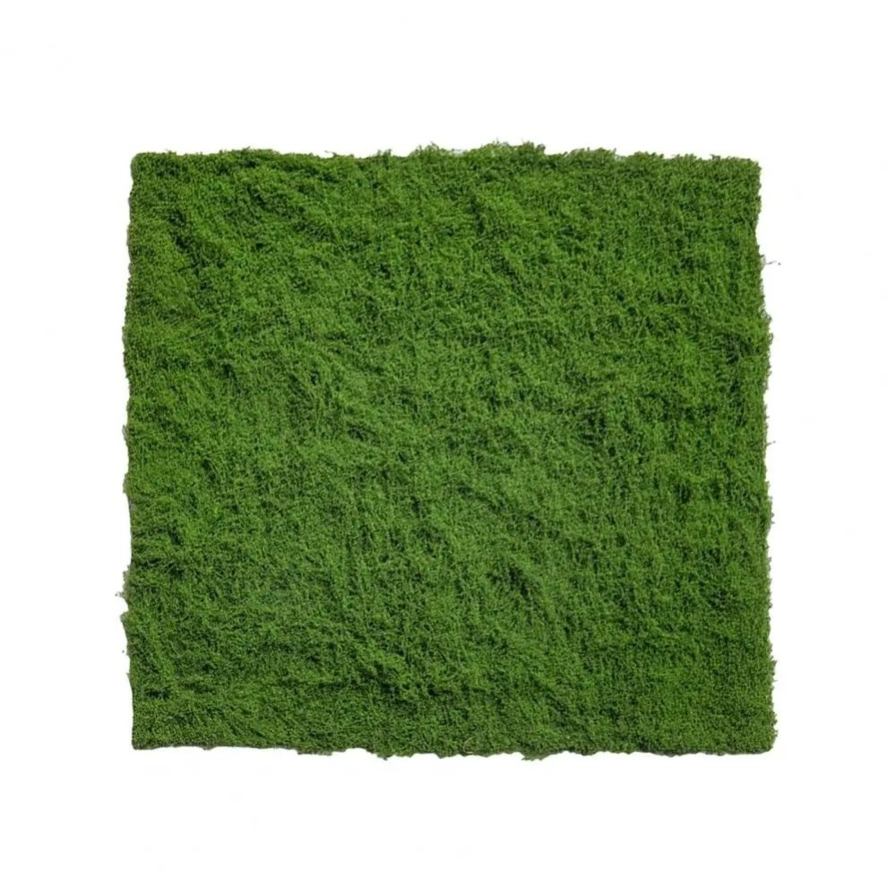 Tapete de Grama Artificial DIY - Terrarium Moss Art avaliação e preço