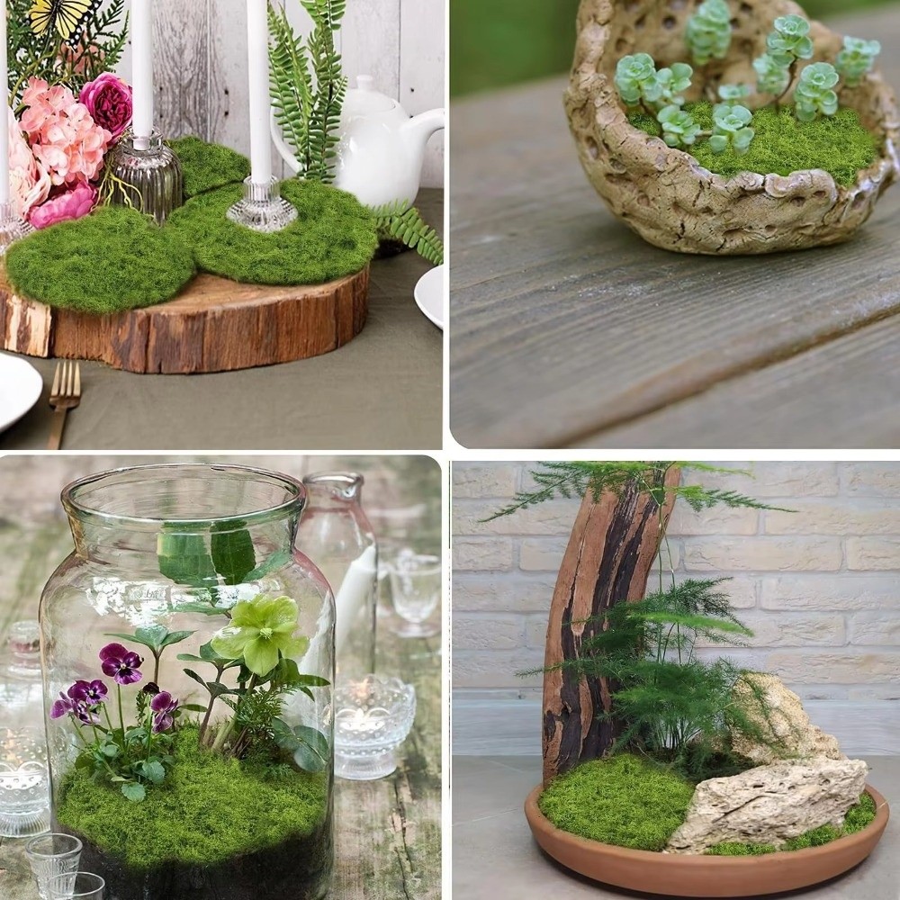 Tapete de Grama Artificial DIY - Terrarium Moss Art avaliação e preço