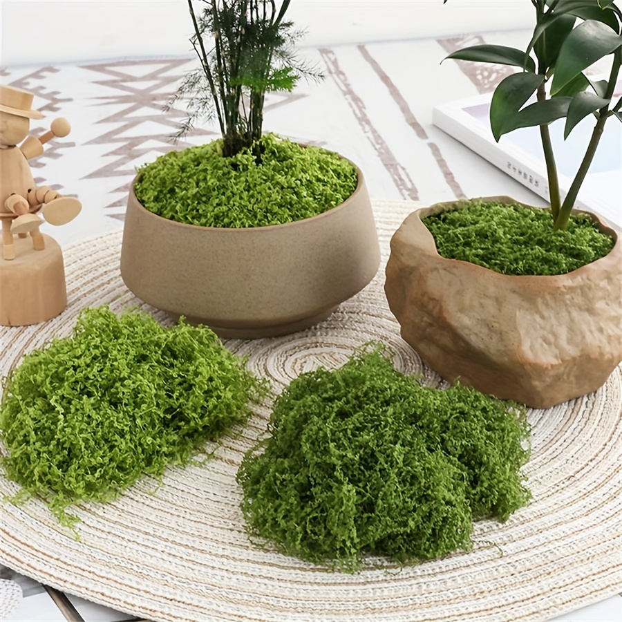1 pacote de musgo artificial f - Terrarium Moss Art avaliação e preço
