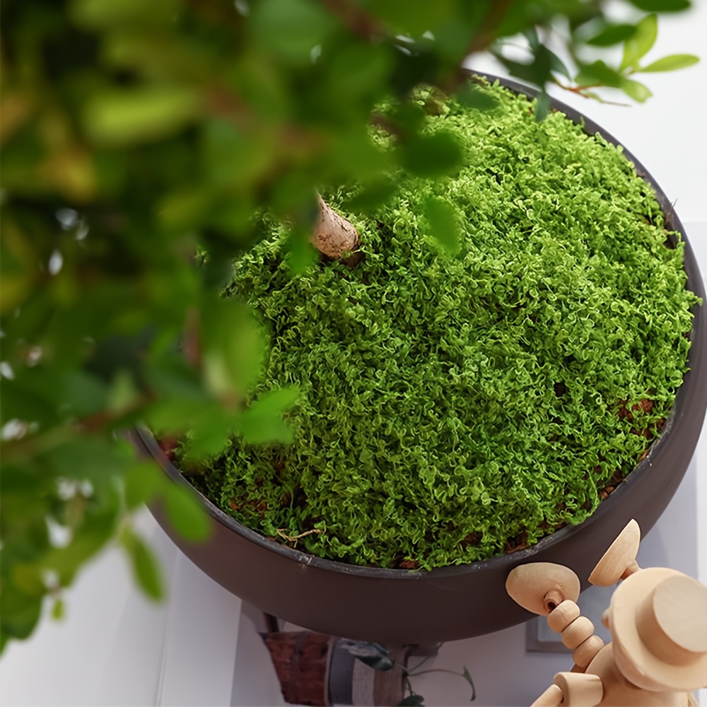 1 pacote de musgo artificial f - Terrarium Moss Art avaliação e preço
