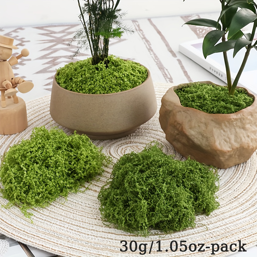 1 pacote de musgo artificial f - Terrarium Moss Art avaliação e preço