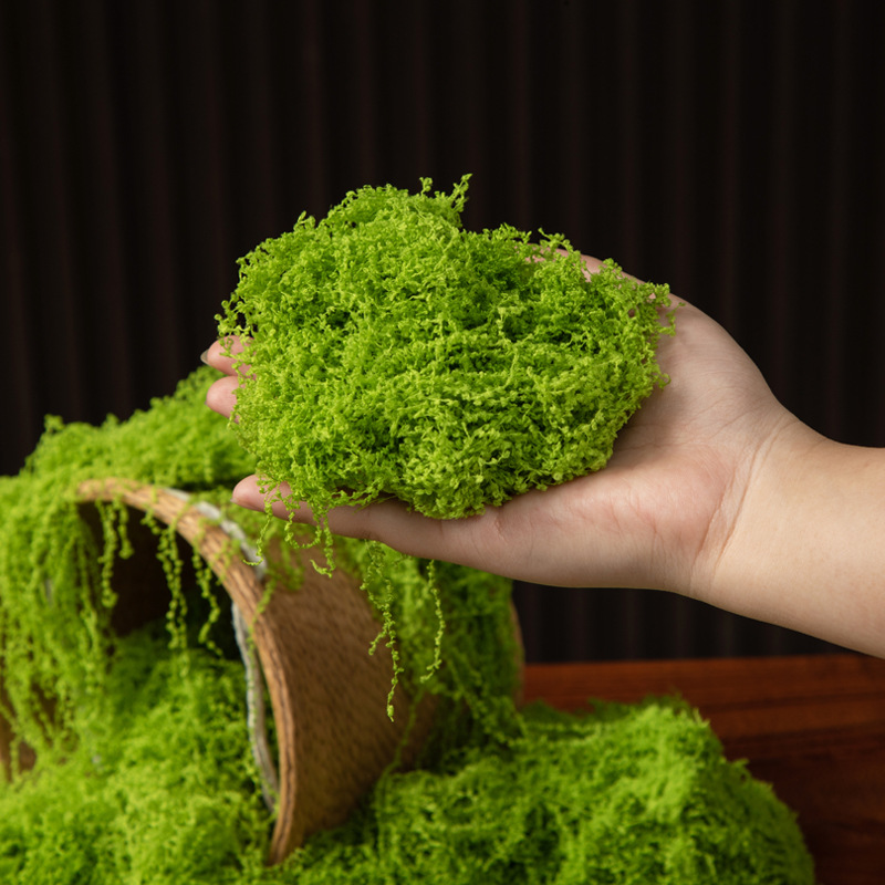 Musgo da Vida Eterna 200g para - Terrarium Moss Art avaliação e preço