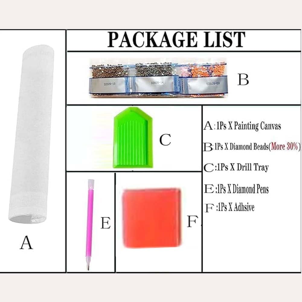Kits de Pintura com Diamantes  - Resin Craft For Beginners avaliação e preço