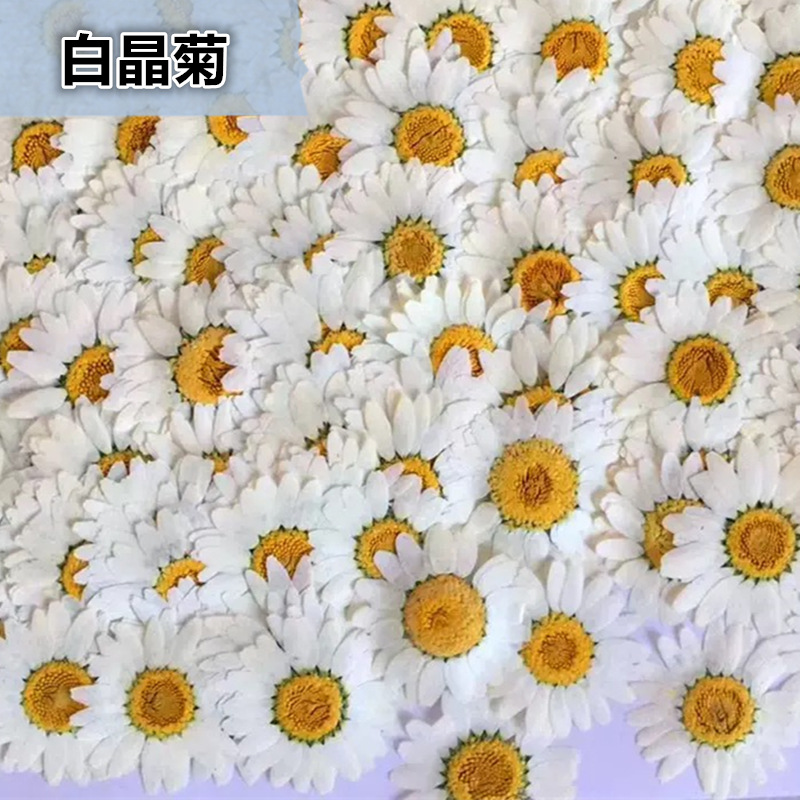 100 Peças de Cristal Branco Na - Resin Craft Ideas avaliação e preço