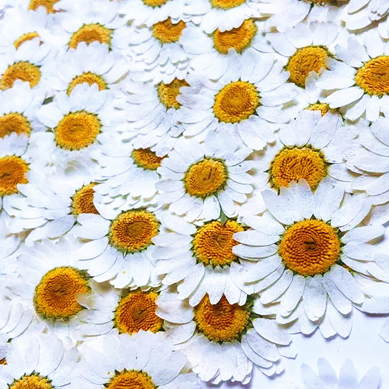 100 Peças de Cristal Branco Na - Resin Craft Ideas avaliação e preço