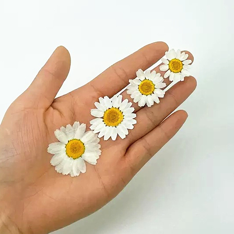 100 Peças de Cristal Branco Na - Resin Craft Ideas avaliação e preço