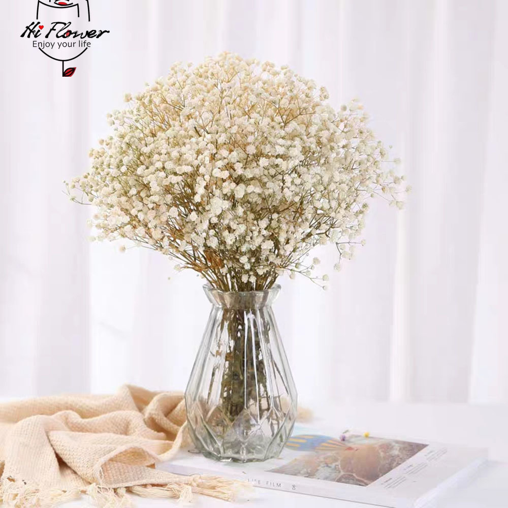 Flores secas naturais preserva - Dried Flower Bulk avaliação e preço
