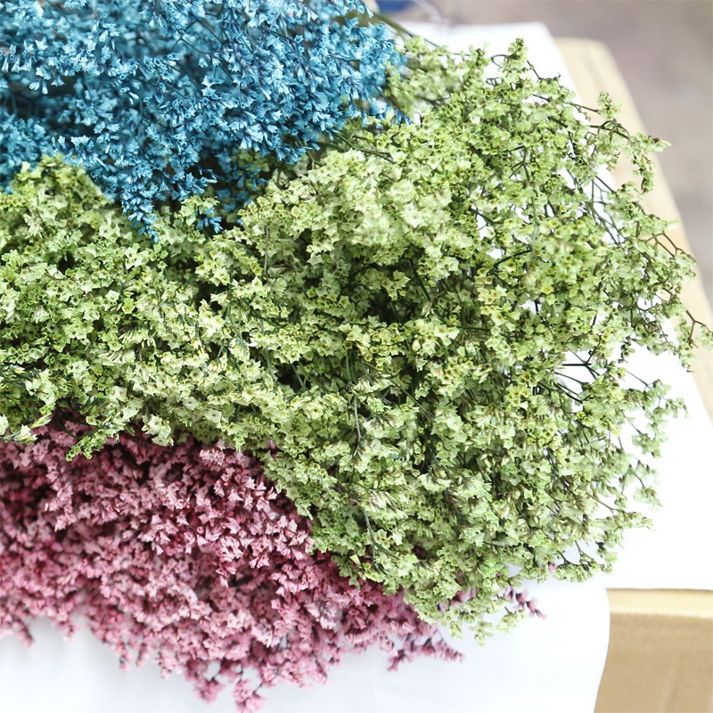 Natural fresco seco preservado - Dried Flower Bulk avaliação e preço