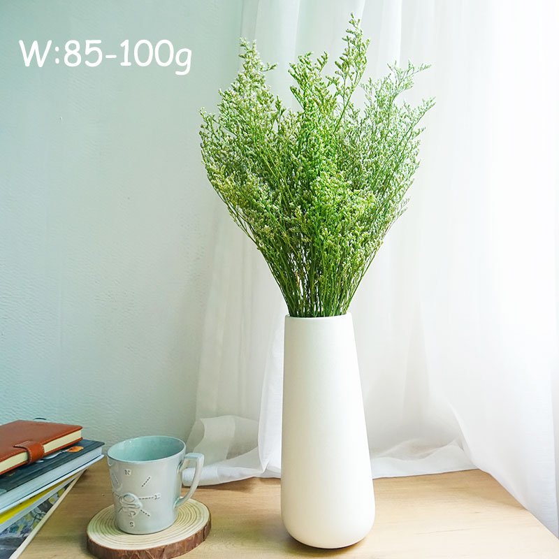 50g/Flor de Limonium Preservad - Dried Flower Bulk avaliação e preço