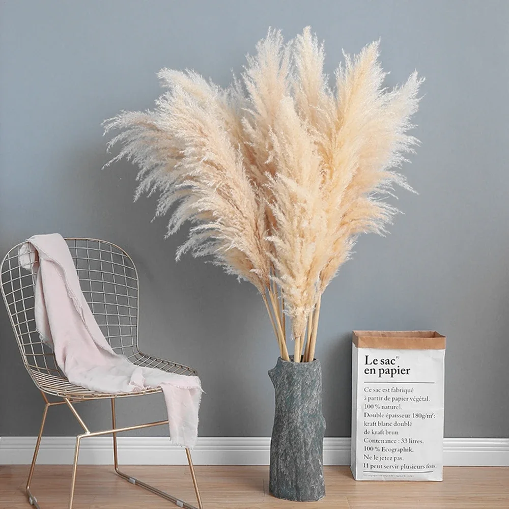 Grama de pampas grande e fofa  - Dried Flower Bulk avaliação e preço