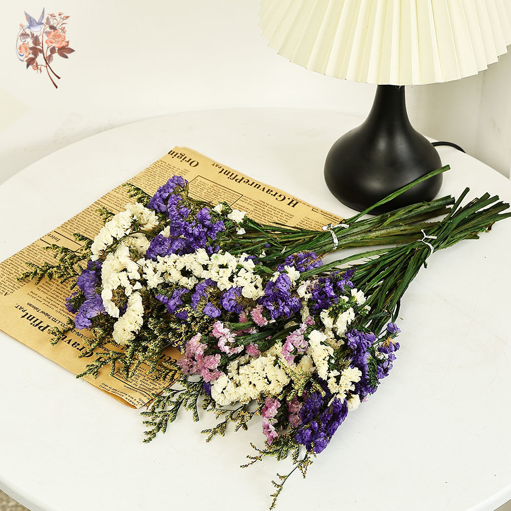 Buquê de flores naturais reais - Dried Flower Bulk avaliação e preço