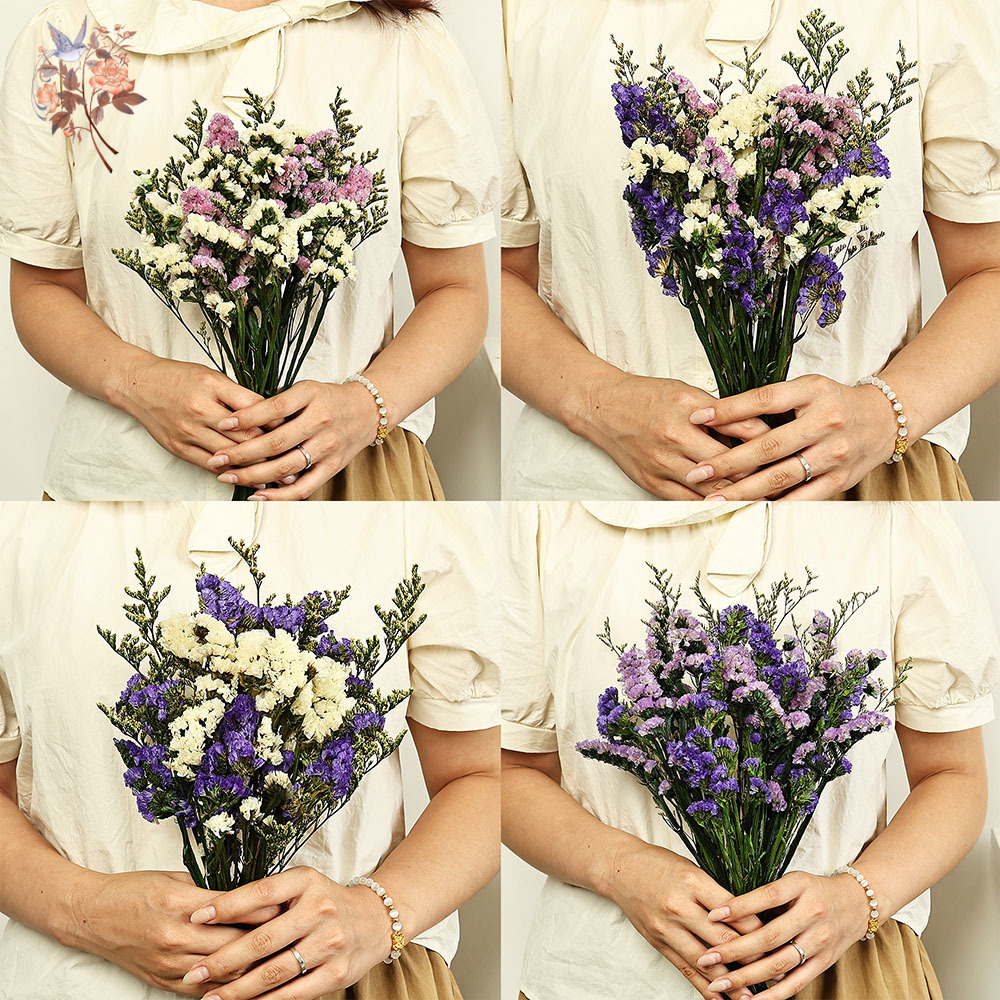 Buquê de flores naturais reais - Dried Flower Bulk avaliação e preço