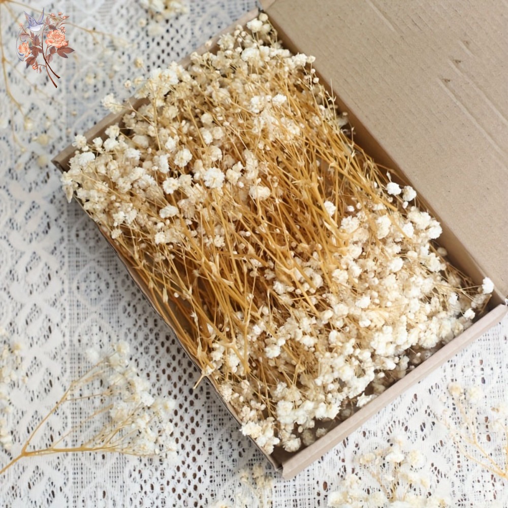 100 Peças de Flores Secas Mini - Resin Craft Ideas avaliação e preço