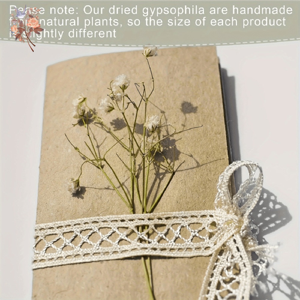 100 Peças de Flores Secas Mini - Resin Craft Ideas avaliação e preço